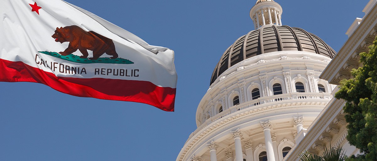 California Republic Flag in front of The California Capitol Building