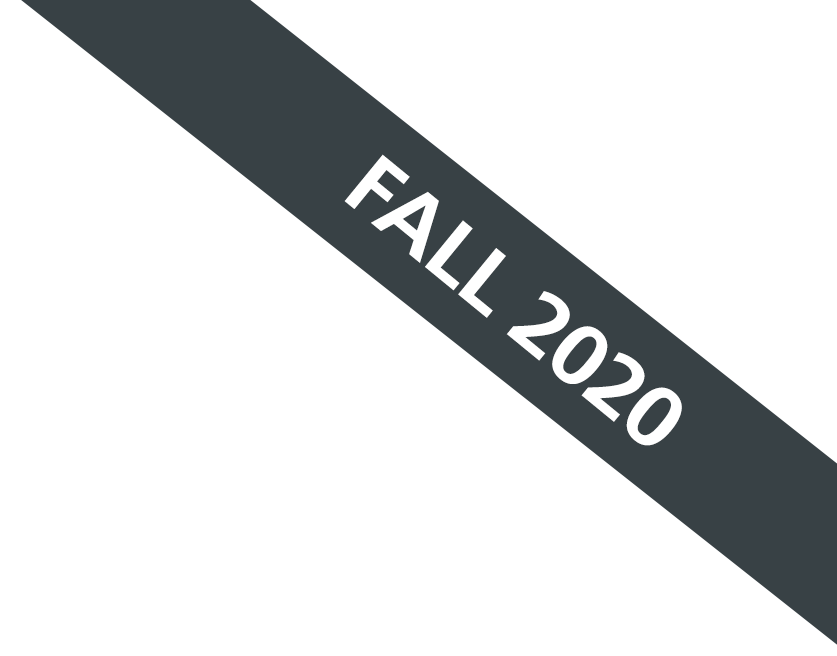 CSBA Fall 2020 Tab