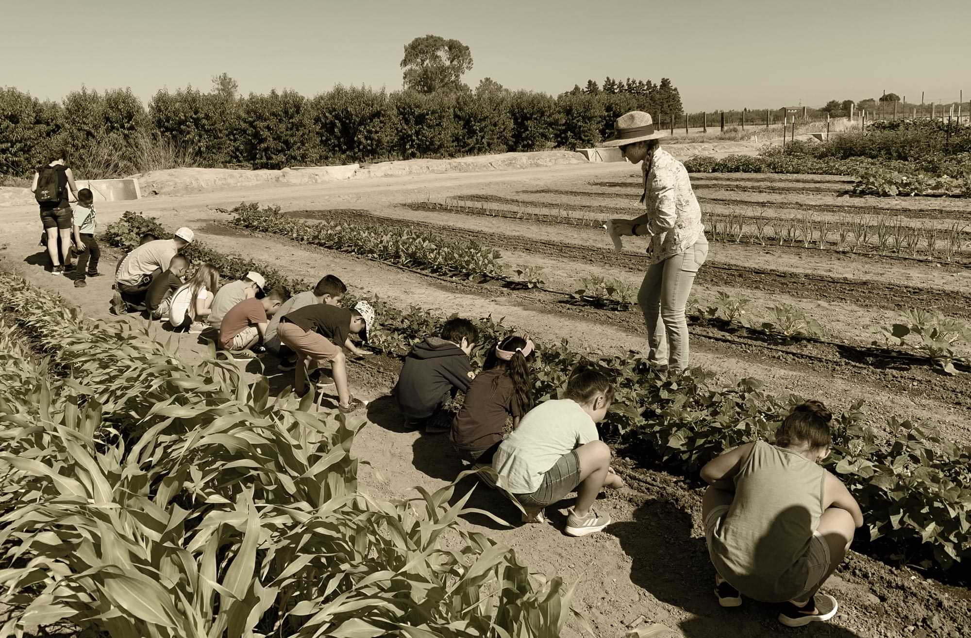 elementary aged students crouch to work on a crop row, under the supervision of two adults