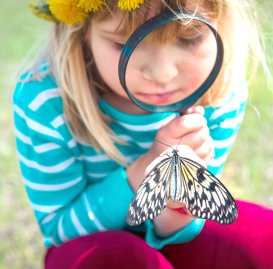 Little girl holding a butterfly while looking at it with a magnifying glass