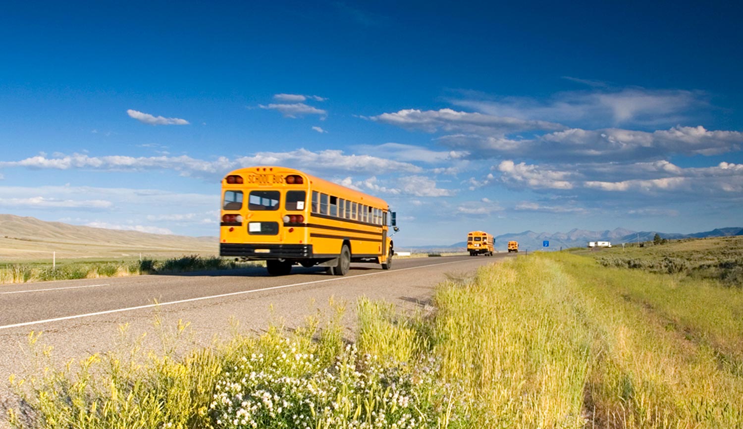school buses travel on a two way road