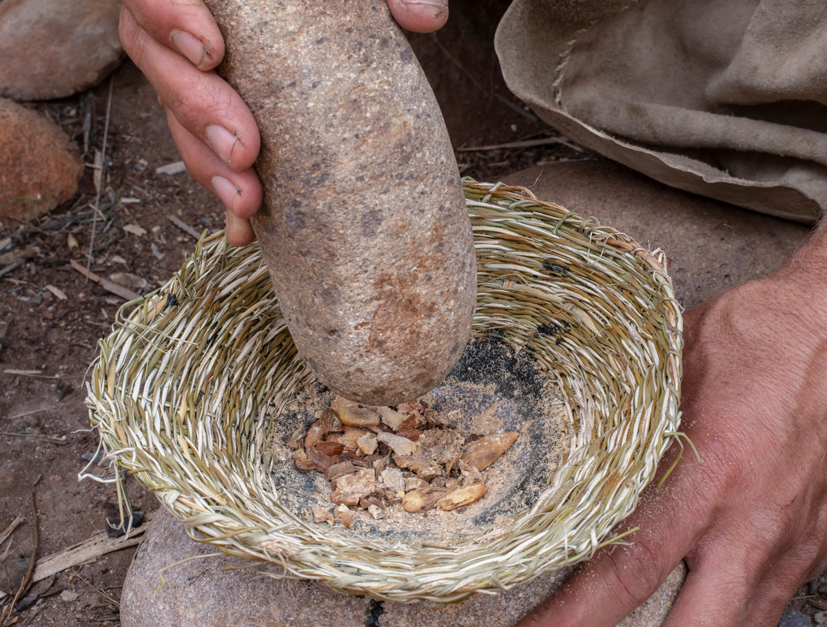 Students gather baskets of acorns, crack and dry them, and grind them up using modern hand grinders and the customary mortar and pestle before cooking and jarring the concoction