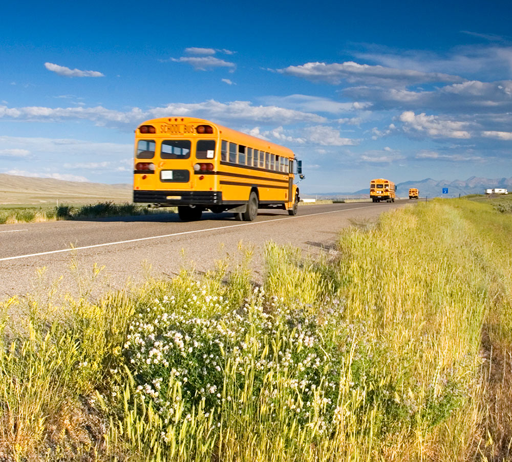 School buses heading straight forward on the road