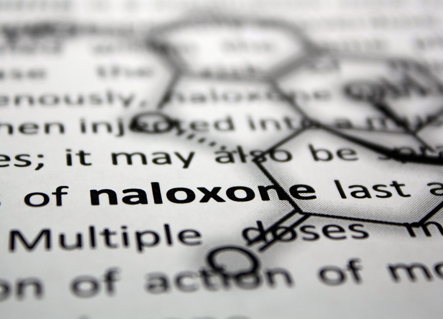 close up of information on fentanyl with a focus on the word naloxone