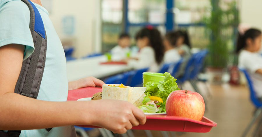 cropped view of a young girl holding a lunch tray in a cafeteria 