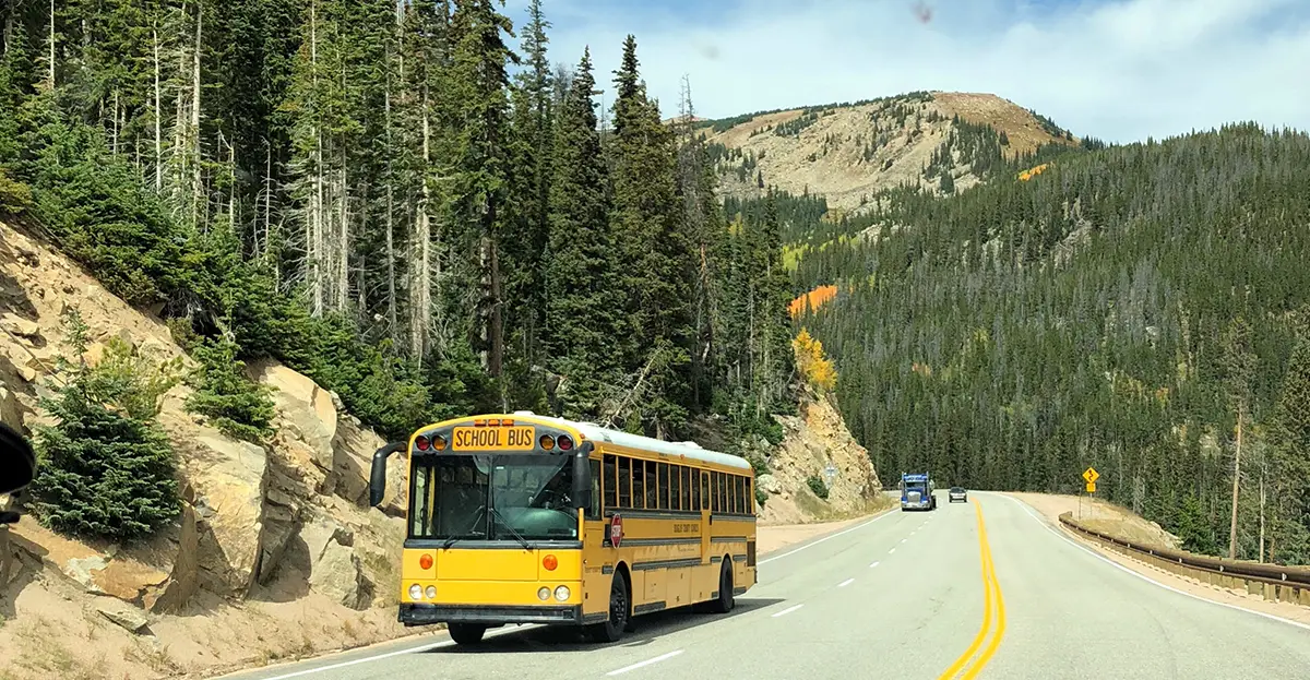 yellow school bus driving along a mountainous road lined with pine trees