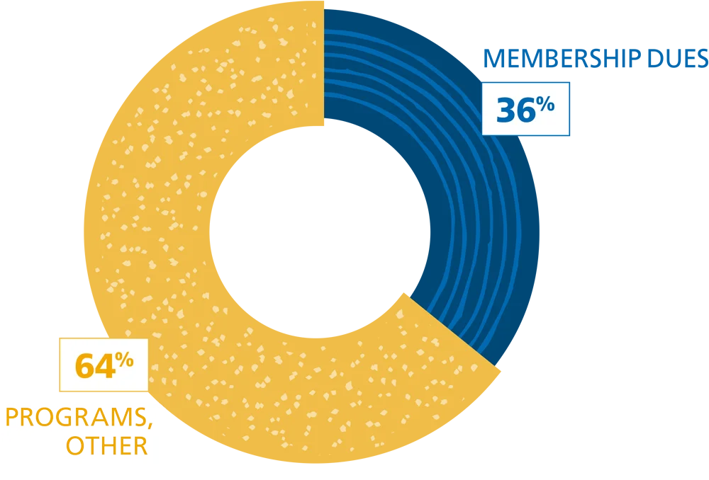 CSBA 2024 revenue pie chart