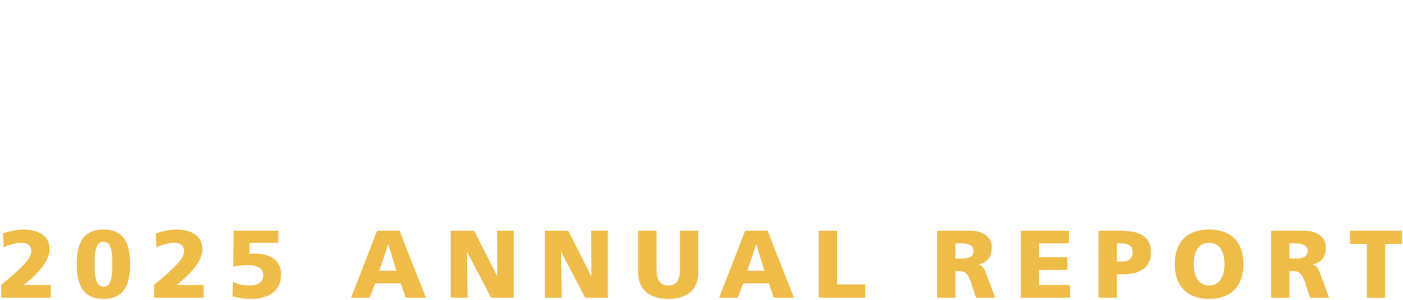 CSBA Education Legal Alliance 2025 Annual Report typography