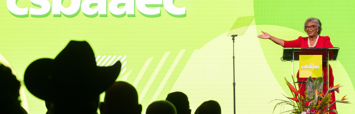 Professional speaker at an educational leadership summit, silhouetted audience members watching a presentation on a bright green stage with the CSBA AEC logo