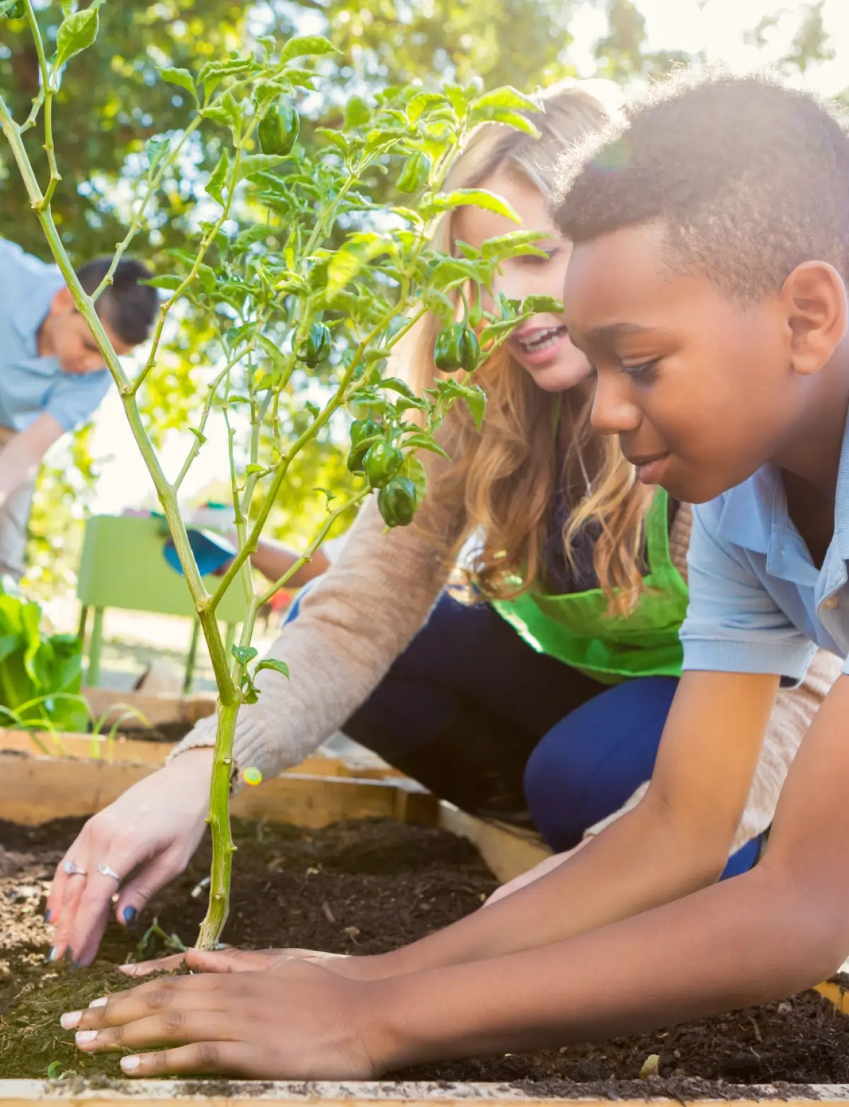 A bright, sunny shot of a diverse group of children working together in a community garden
