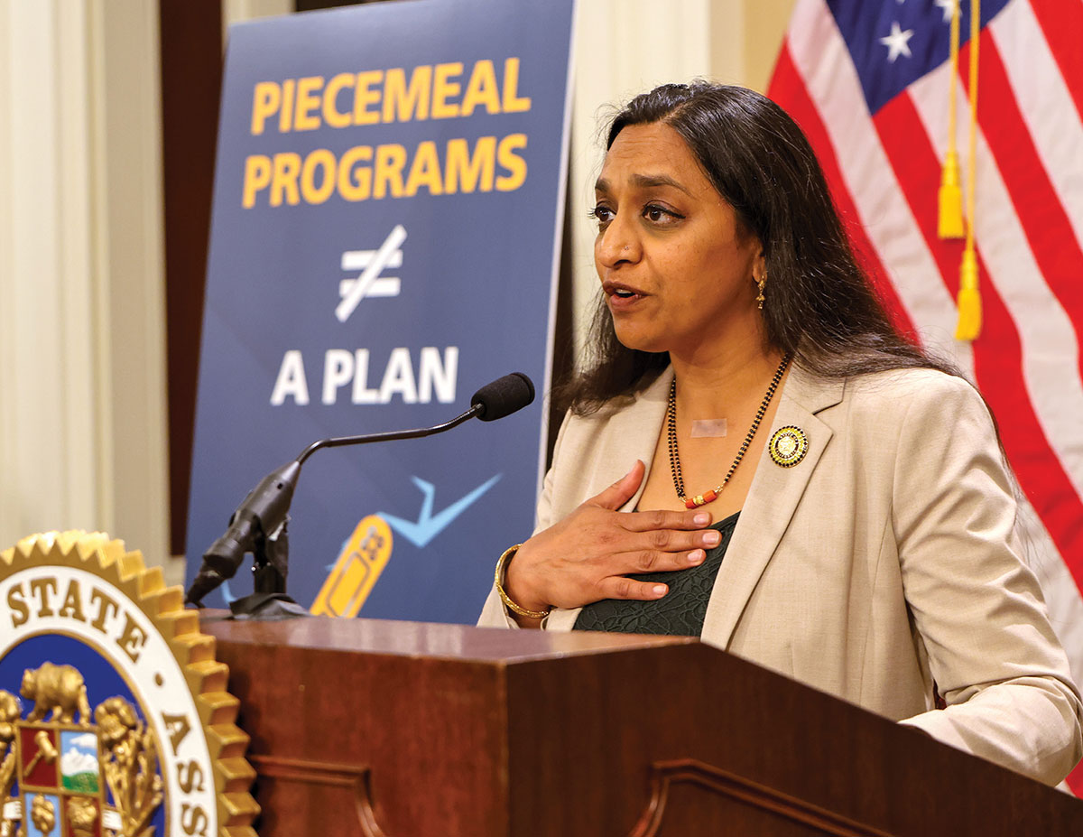A woman in a beige blazer speaks at a podium with her hand on her chest. Behind her is a sign reading "PIECEMEAL PROGRAMS ≠ A PLAN" and an American flag. A state assembly seal is visible on the side of the podium.