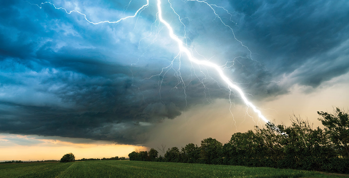 Extreme weather protocols A powerful lightning bolt strikes down from dramatic, dark storm clouds into a line of green trees bordering an open field.